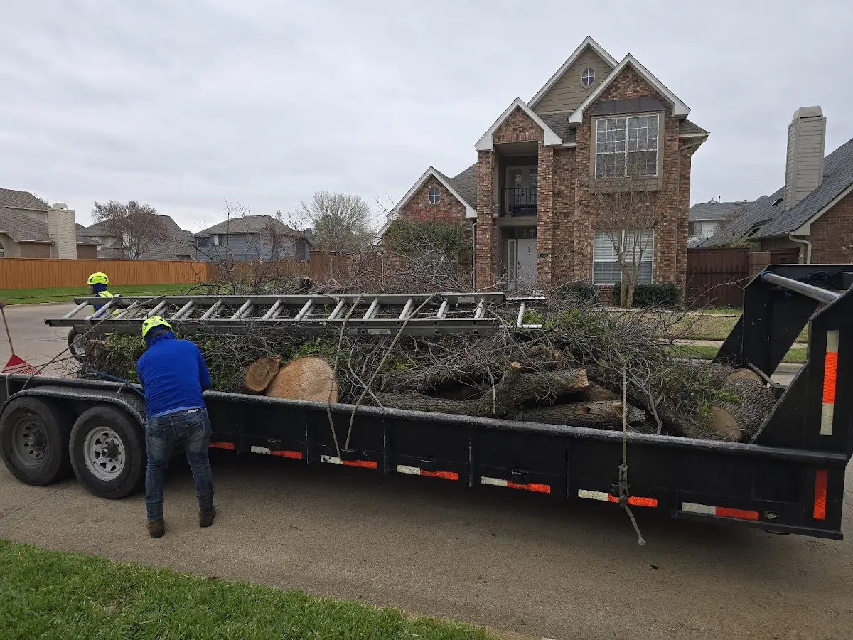 Expert Lot Clearing with proper safety equipment in Verbena